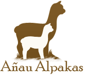 Añau Alpakas